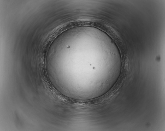 X0000116280821200912211817