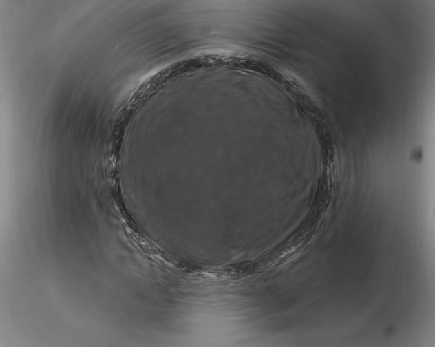 X0000116280822200912211817