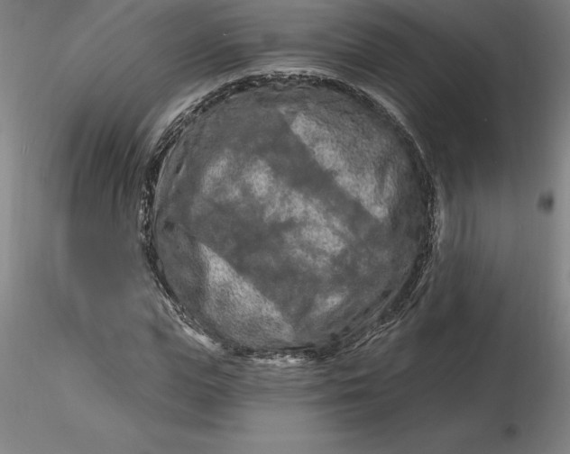 X0000116280823200912211817