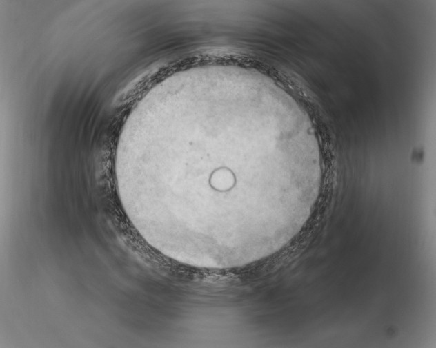 X0000116280824200912211817