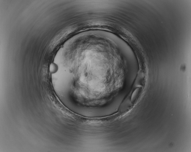 X0000116280825200912211817