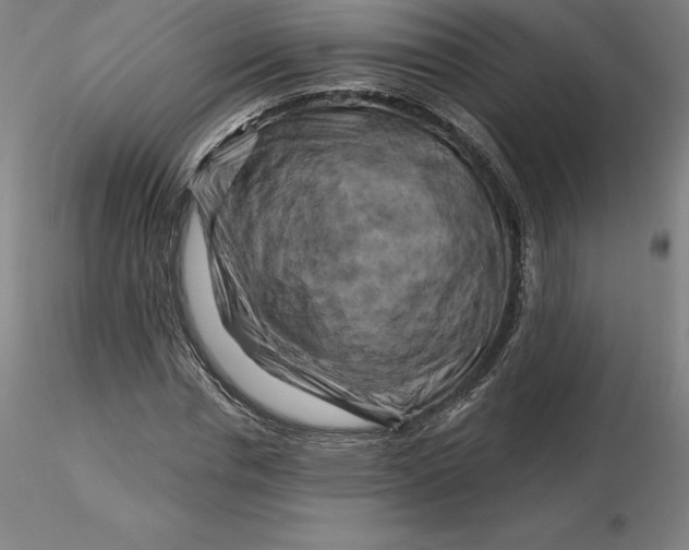 X0000116280826200912211817