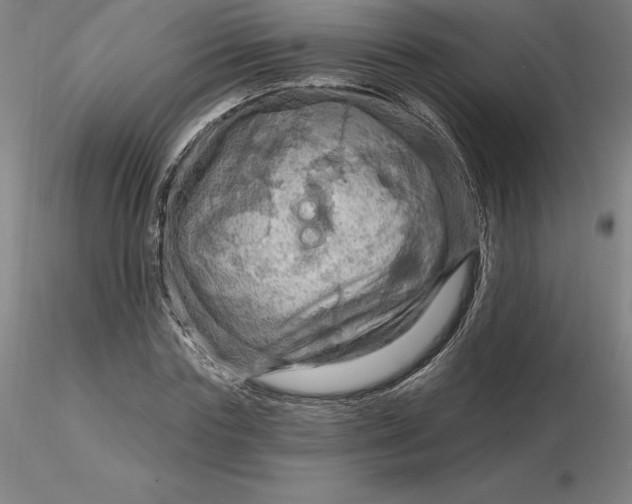 X0000116280827200912211817