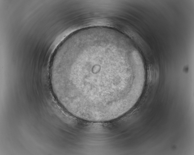 X0000116280828200912211817