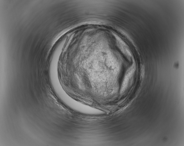 X0000116280829200912211817