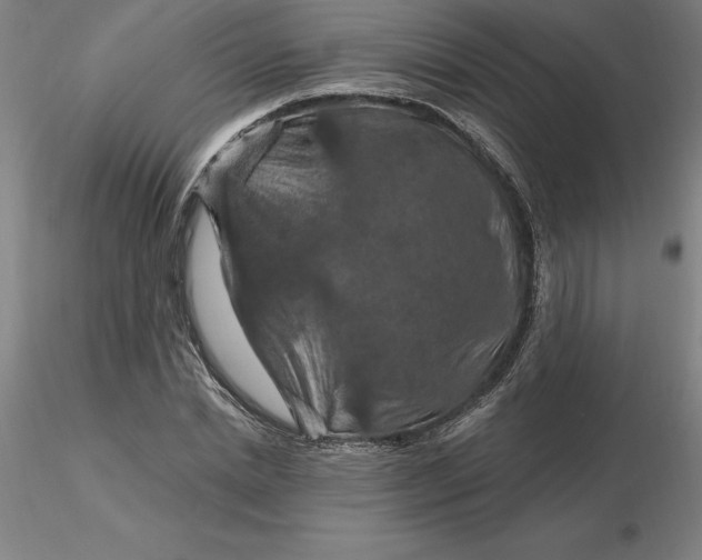 X0000116280830200912211817