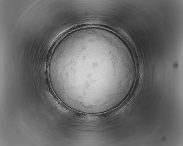 X0000116280831200912211817