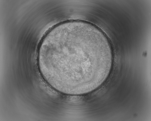 X0000116280832200912211817