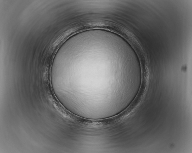 X0000116280833200912211817