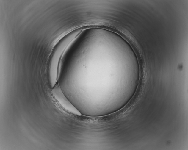 X0000116280834200912211817