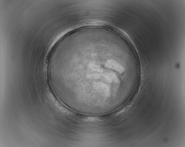 X0000116280835200912211817