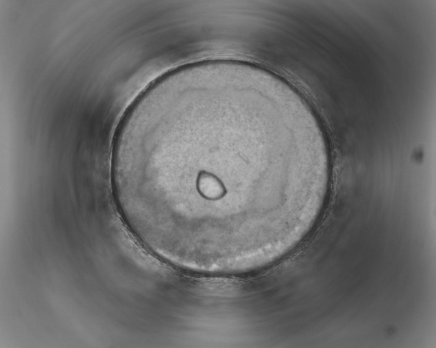 X0000116280836200912211817