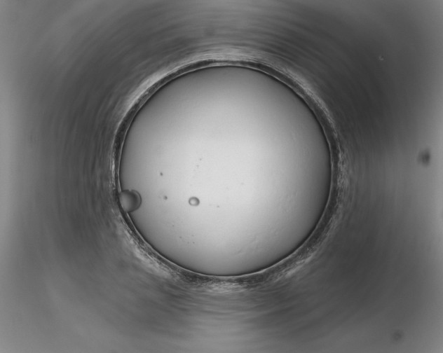 X0000116280837200912211817