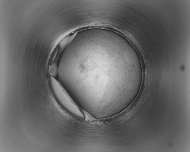 X0000116280838200912211817