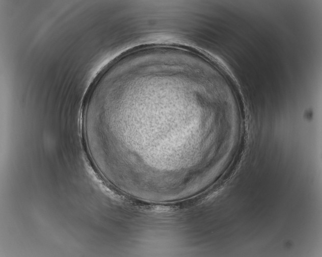 X0000116280839200912211817