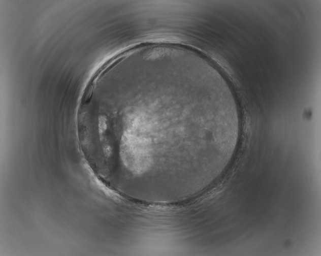 X0000116280840200912211817