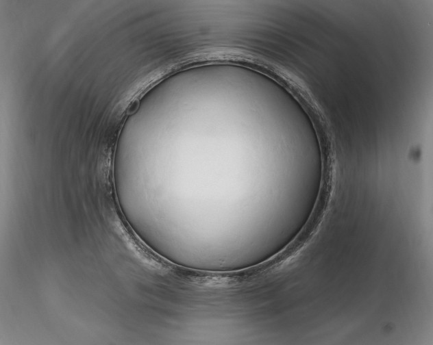 X0000116280841200912211817