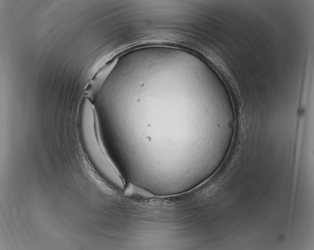 X0000116280842200912211817