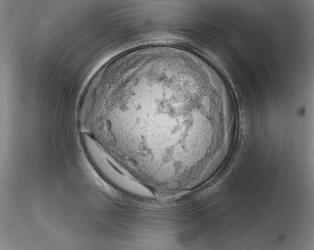 X0000116280843200912211817