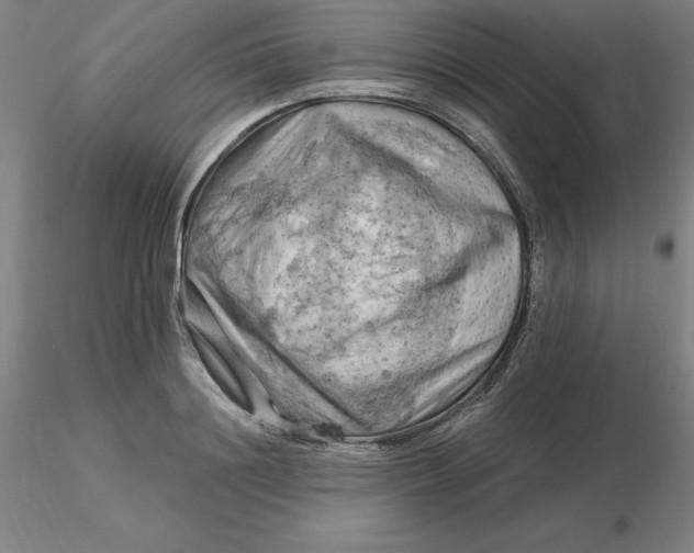 X0000116280844200912211817