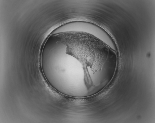 X0000116280845200912211817