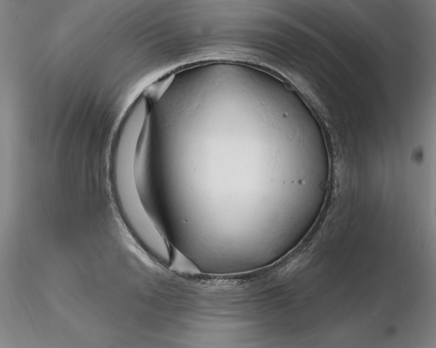 X0000116280846200912211817