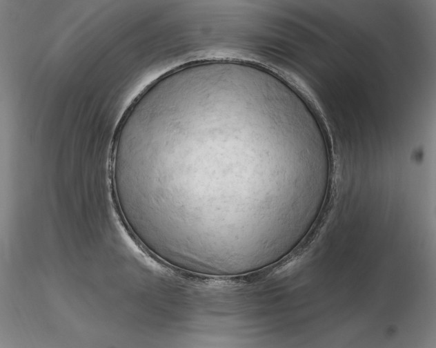 X0000116280847200912211817