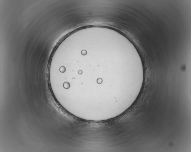 X0000116280848200912211817