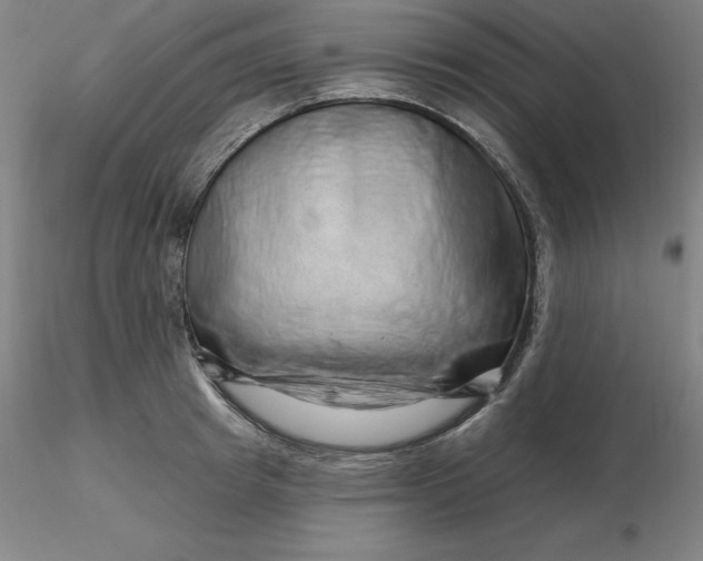 X0000116280849200912211817