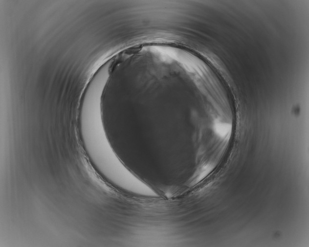 X0000116280850200912211817