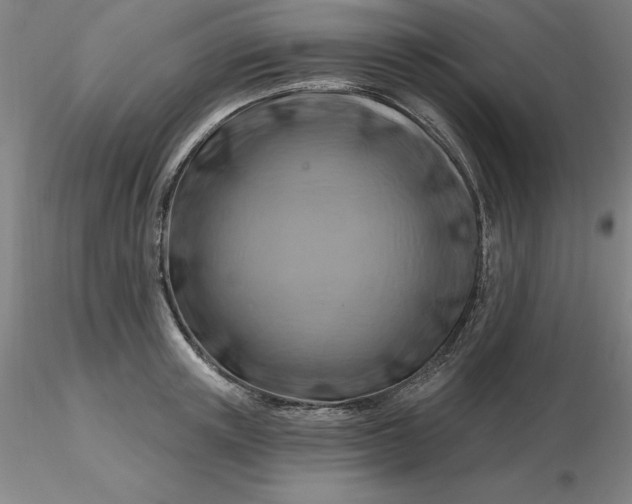 X0000116280851200912211817