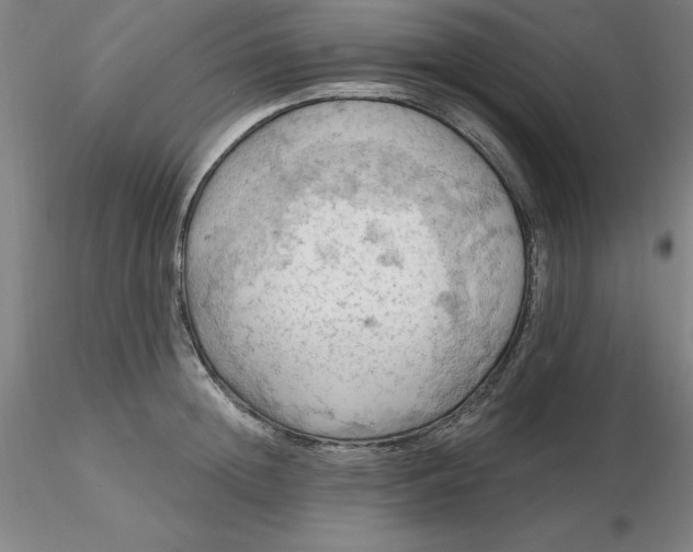 X0000116280852200912211817