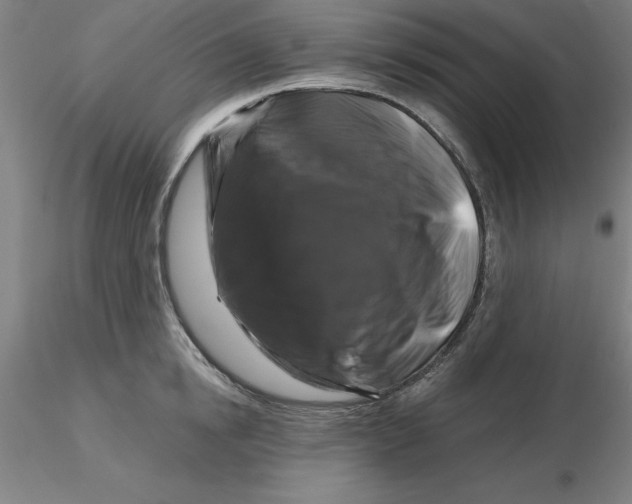 X0000116280854200912211817