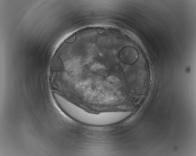 X0000116280855200912211818