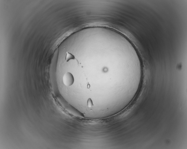 X0000116280857200912211818