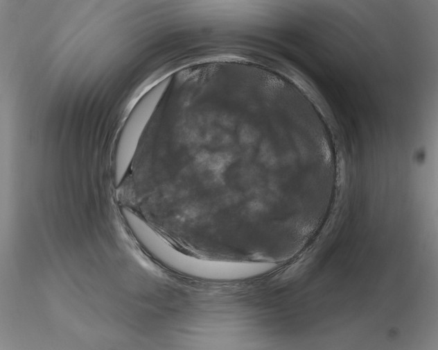 X0000116280858200912211818