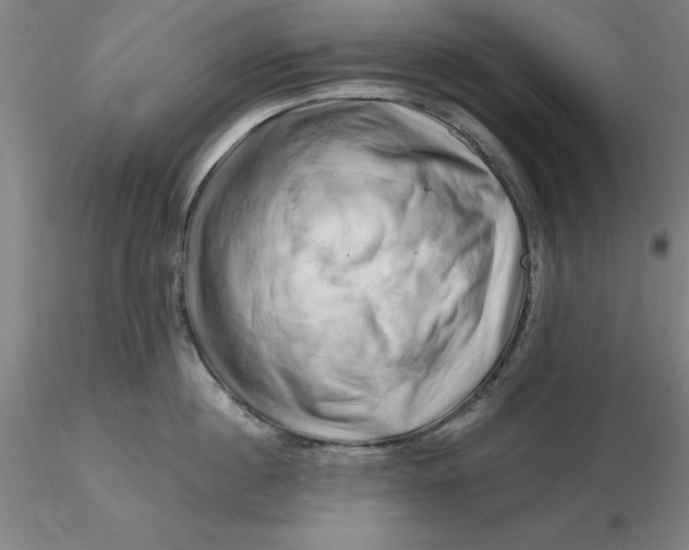 X0000116280860200912211818