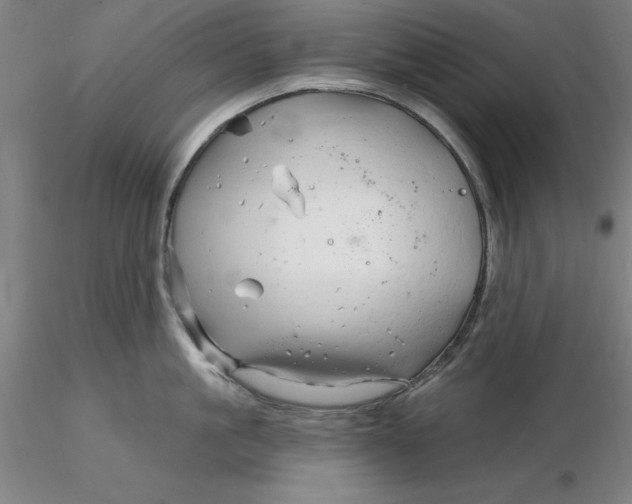 X0000116280861200912211818