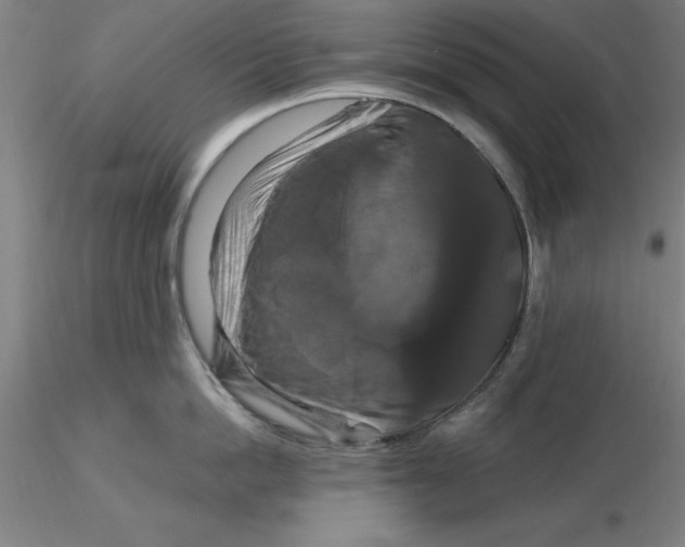 X0000116280862200912211818