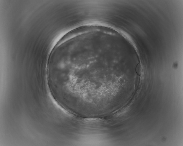 X0000116280863200912211818