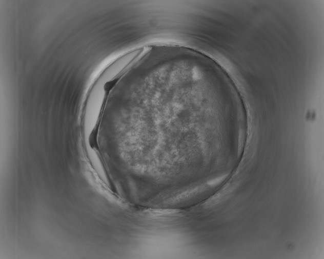 X0000116280864200912211818