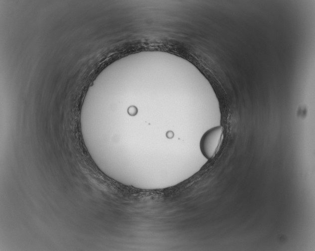 X0000116280865200912211817