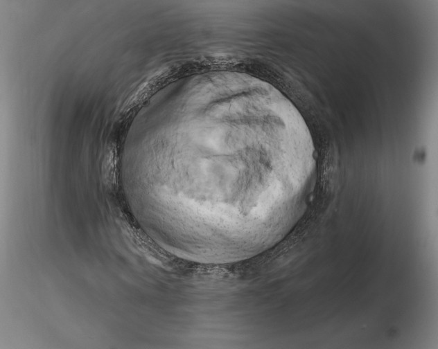 X0000116280866200912211817