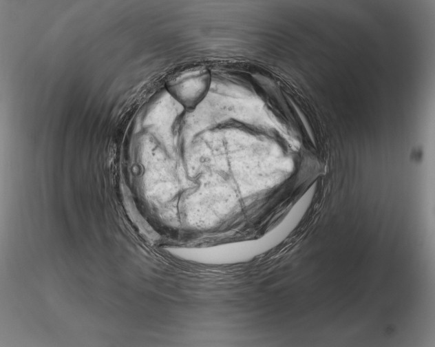 X0000116280867200912211817