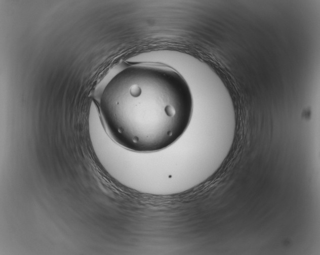 X0000116280868200912211817