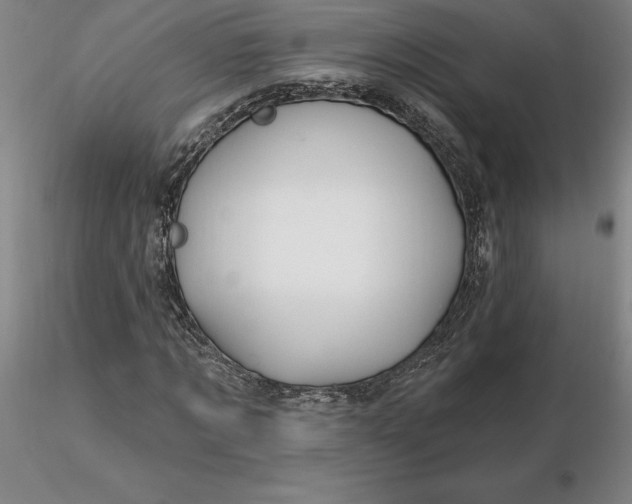 X0000116280869200912211817