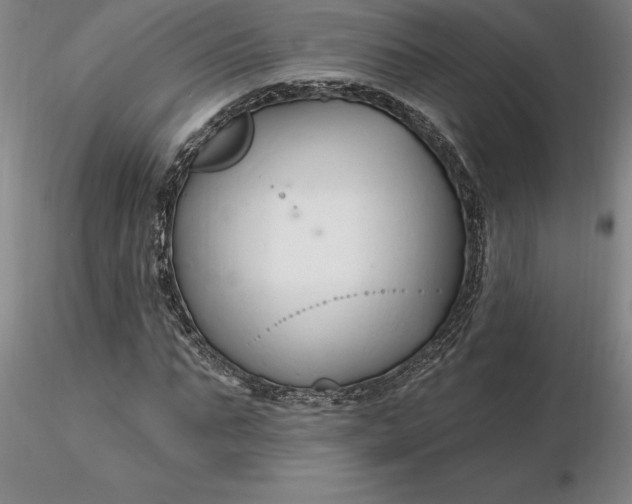 X0000116280871200912211817