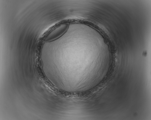 X0000116280872200912211817