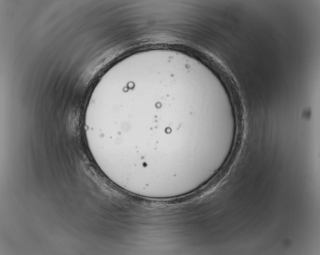 X0000116280873200912211817