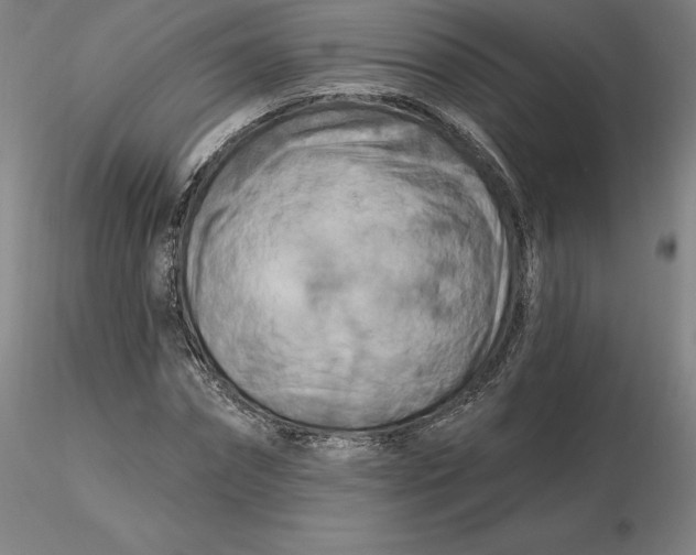 X0000116280874200912211817